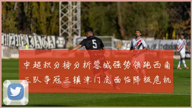 中超积分榜分析蓉城强势领跑西南三队争冠三镇津门虎面临降级危机