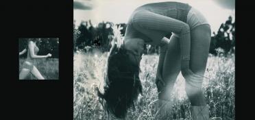 ad21_504528947d525.jpg
