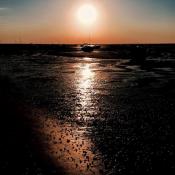 ad21_564c48b1d2d0f.jpg